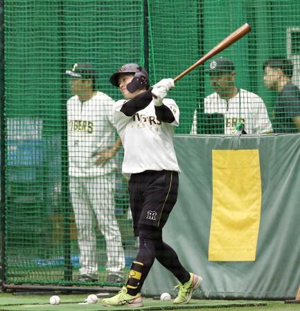 阪神・坂本　研究楽しむ！２年前と違い準備期間たっぷり「その時間すらも楽しみたい」