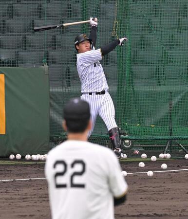 　藤川監督（２２）が見守る中、打撃練習する大山（撮影・飯室逸平）