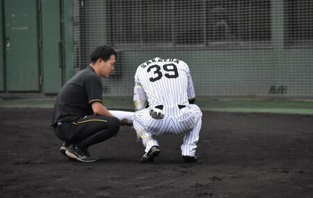 　死球を受けた栄枝