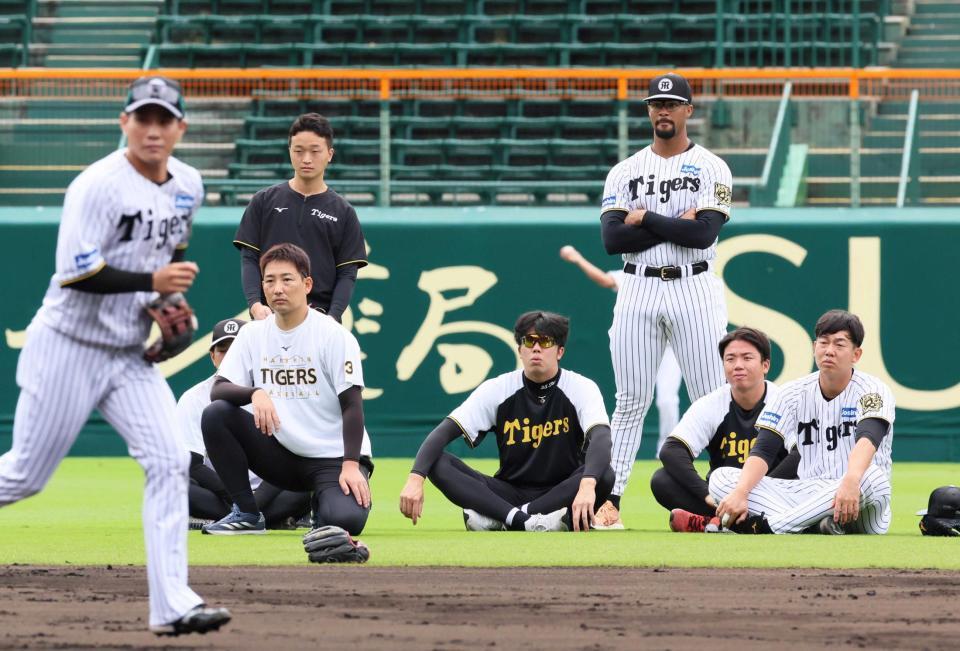 　投内連係の様子を見守る村上（右から２人目）ら投手陣（撮影・立川洋一郎）