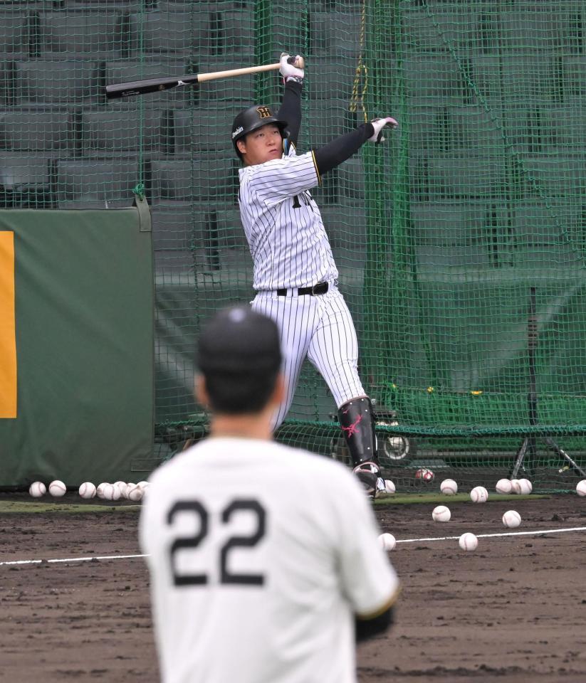 　藤川監督（２２）が見守る中、打撃練習する大山（撮影・飯室逸平）