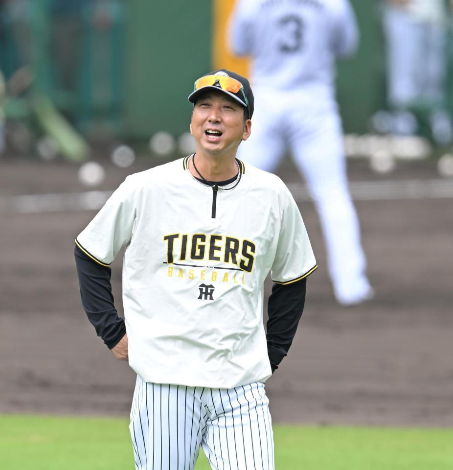 　穏やかな表情で練習を見守る藤川監督（撮影・飯室逸平）