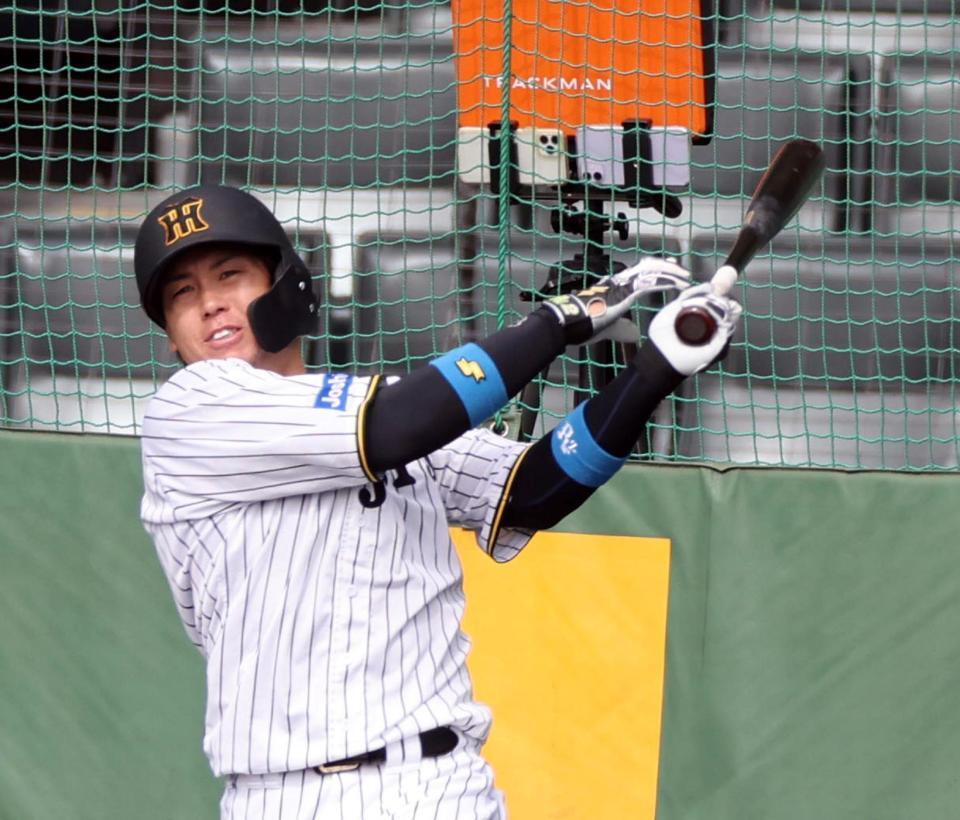 　打撃練習する梅野（撮影・山口登）