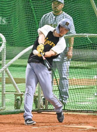 　打撃練習する佐藤輝