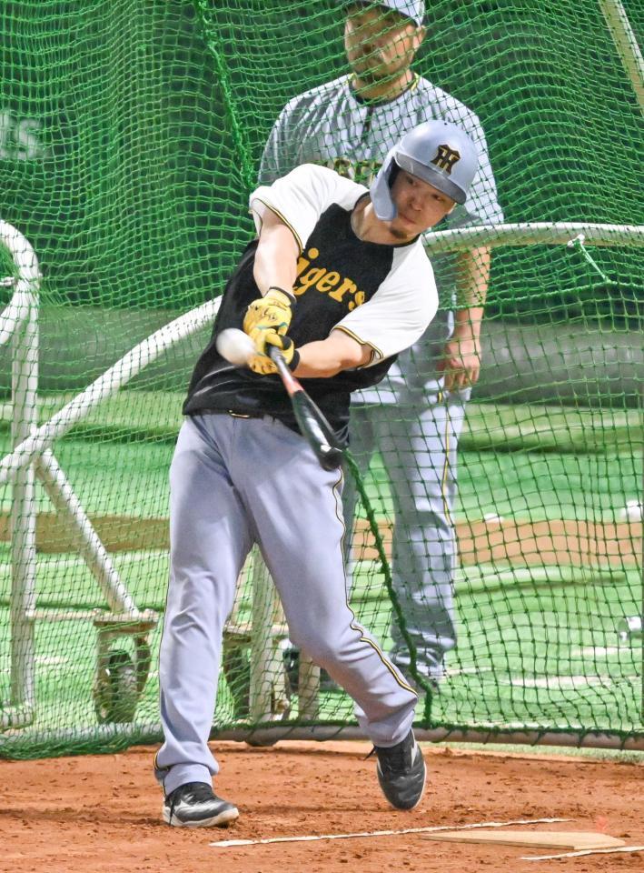 　打撃練習する佐藤輝