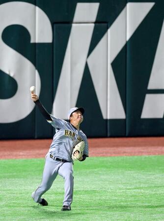 　キャッチボールをして調整する村上（撮影・立川洋一郎）