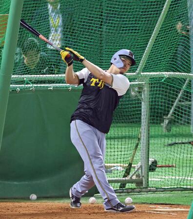 　フリー打撃で快音を響かせる佐藤輝（撮影・立川洋一郎）