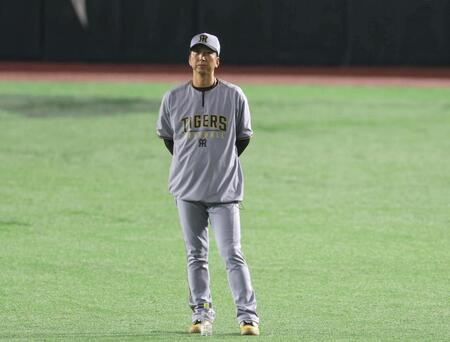 　試合前練習を見守る藤川監督（撮影・北村雅宏）