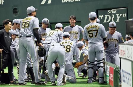 【写真】来てたのか！　日本Ｓ初戦のペイペイドームに超大物俳優が