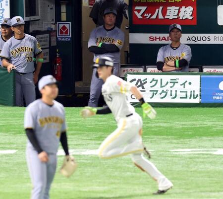 　１回、周東が生還し先制され、藤川監督（右）はベンチで戦況を見つめる（撮影・山口登）