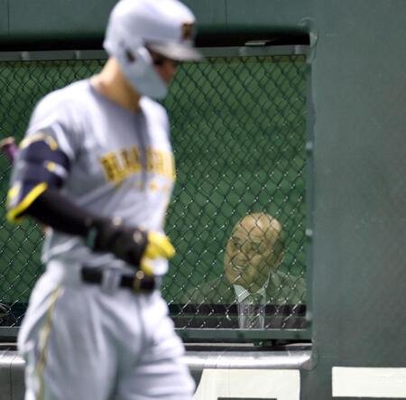 　ネット裏から試合を見る岡田彰布オーナー付顧問（撮影・田中太一）