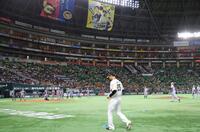 　シートノックを行う阪神ナイン（撮影・西岡正）