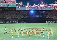 　試合前、球場を盛り上げるハニーズ（撮影・北村雅宏）