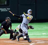 　６回、右中間に勝ち越し適時二塁打を放つ佐藤輝（撮影・山口登）