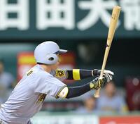 　６回、中前打を放つ近本（撮影・西岡正）