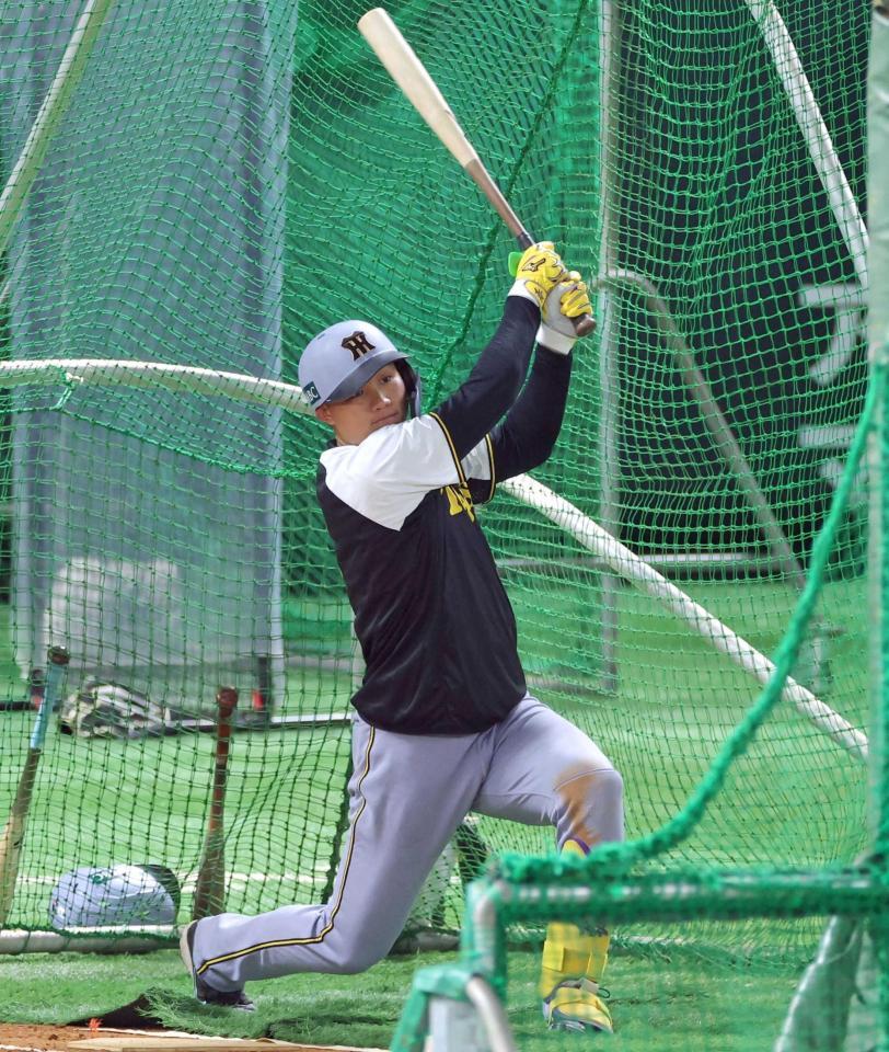 　フリー打撃で打ち込みをはかる森下（撮影・立川洋一郎）