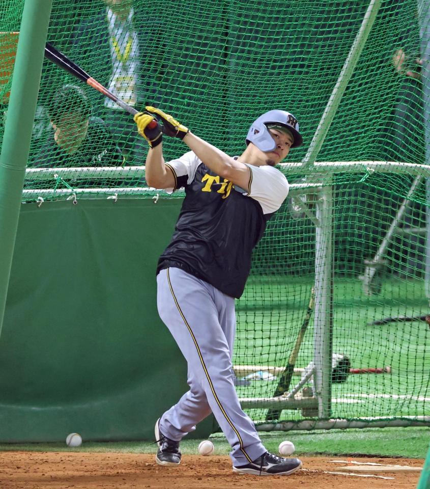 　フリー打撃で快音を響かせる佐藤輝（撮影・立川洋一郎）