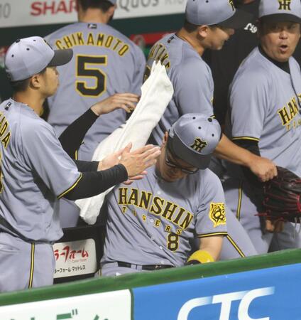　大差で敗れ、タオルを肩にかける佐藤輝（中央）＝撮影・北村雅宏