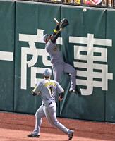 　１回、山川の打球に飛びつく近本（撮影・立川洋一郎）