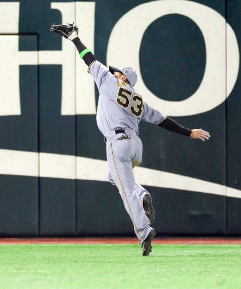 　８回、柳町の打球を好捕する島田（撮影・西岡正）