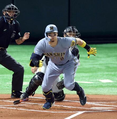 　１回、右前に先制適時打を放つ佐藤輝（撮影・山口登）