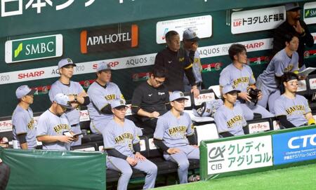 　腕組みをして戦況を見守る藤川監督（左から３人目）＝撮影・立川洋一郎