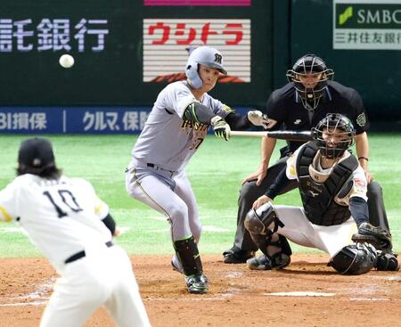 　４回、右前打を放つ高寺（撮影・金田祐二）