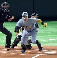 　１回、右前に先制適時打を放つ佐藤輝（撮影・山口登）