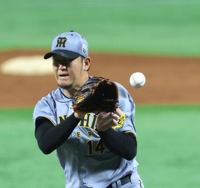 ブラウン ソフト 野球グローブ 右手用 （阪神岩貞選手サイン入り