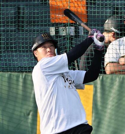 　打撃練習をする大山（撮影・田中太一）