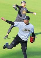 　キャッチボールをして調整する才木（撮影・立川洋一郎）