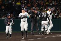 　６回、申告敬遠の佐藤輝（撮影・金田祐二）