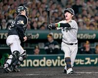 　７回、中野が空振り三振に倒れる。捕手・海野