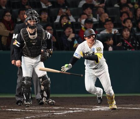 　６回、右前打を放つ森下（撮影・金田祐二）