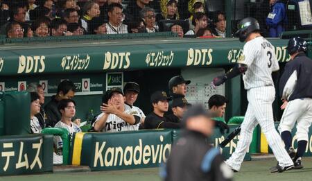 　６回、大山が遊直に倒れ、厳しい表情の藤川監督ら（撮影・金田祐二）