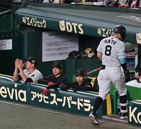 　６回、ベンチから試合を見つめる高橋（左から２人目）＝撮影・西田忠信