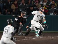 　８回、中前適時打を放つ佐藤輝（撮影・金田祐二）