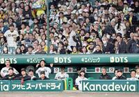 　９回、最後まで諦めず、ベンチから声を出すナイン（撮影・田中太一）