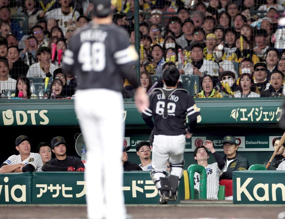 　６回、前川のファウルボールを海野が捕れずキャッチする中野（撮影・田中太一）