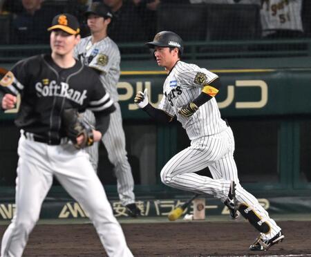 　５回、右前打を放つ近本（撮影・飯室逸平）