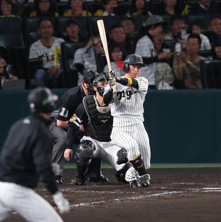 　５回、右前打を放つ近本（撮影・金田祐二）