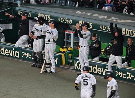 　５回、佐藤輝の適時打に沸く阪神ベンチ（撮影・西田忠信）