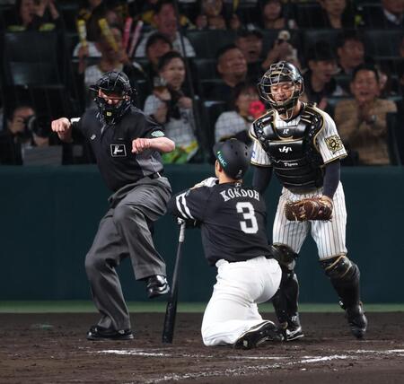 　７回、見逃し三振に倒れがっくりの代打・近藤（撮影・金田祐二）