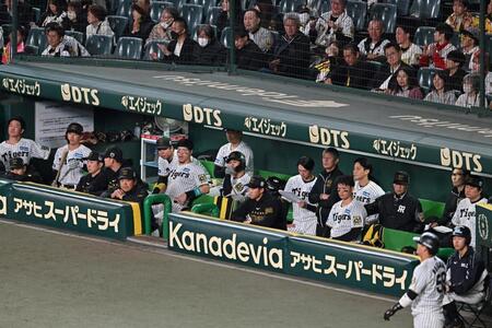 　１１回の攻撃をベンチから見つめる阪神ナイン（撮影・西田忠信）