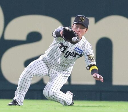 　７回、山川の打球を好捕する近本（撮影・北村雅宏）