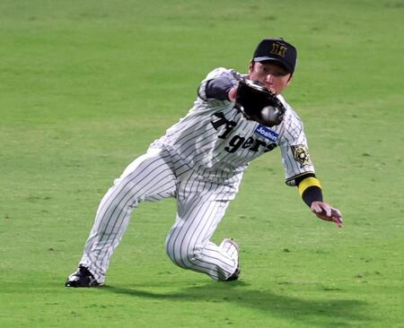 　７回、近本は山川の飛球を捕球する（撮影・山口登）