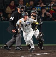 　５回、中前打を放つ近本（撮影・金田祐二）