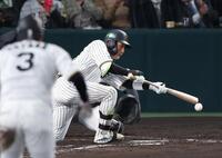 　４回、送りバントを失敗する木浪（撮影・金田祐二）