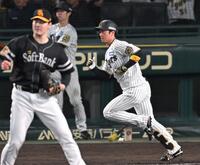 　５回、右前打を放つ近本（撮影・飯室逸平）