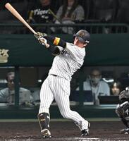 　５回、右前打を放つ近本（撮影・飯室逸平）